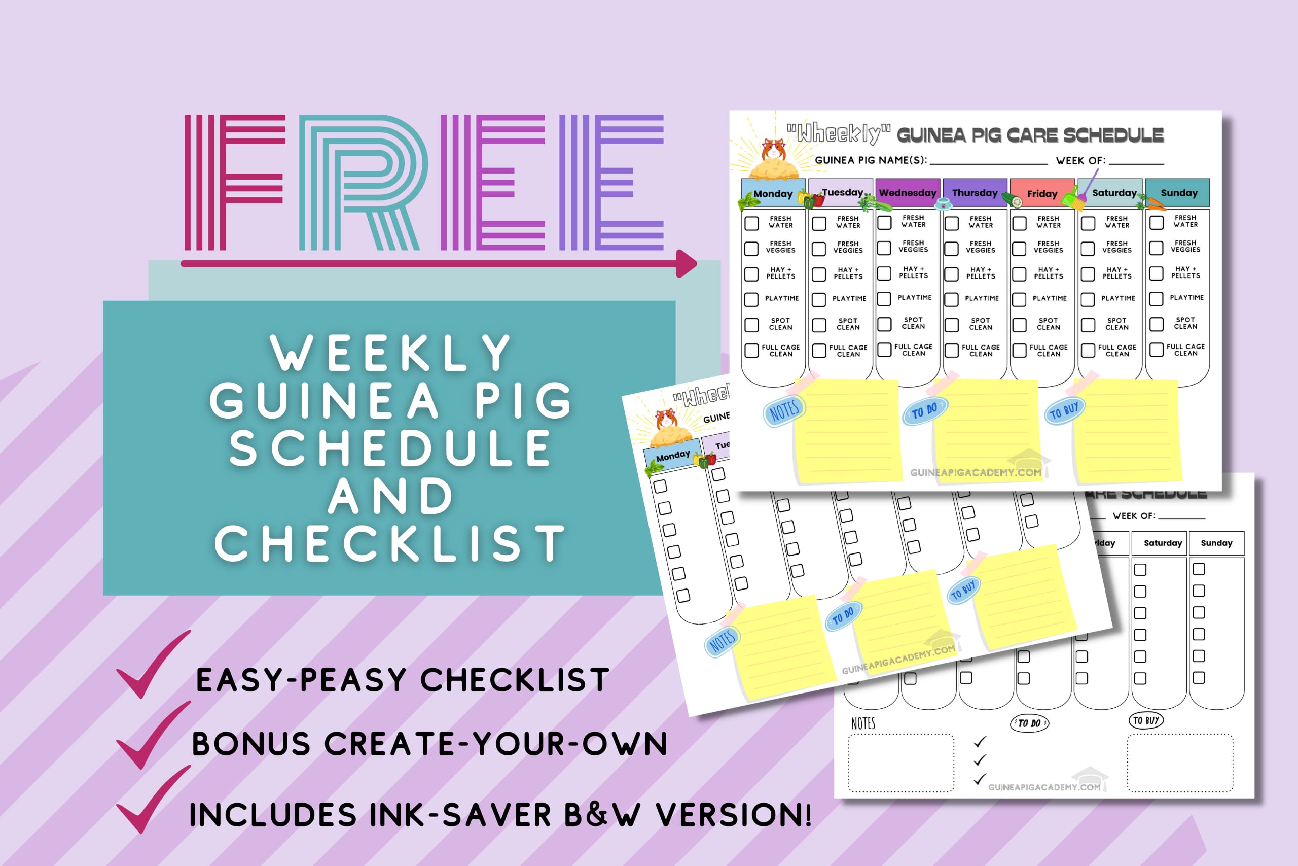 Free weekly Guinea Pig Schedule Checklist Food Cleaning