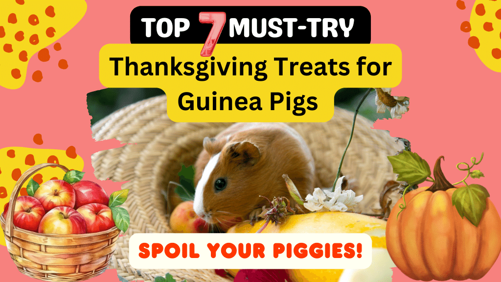 Top 7 Must-Try Thanksgiving Treats for Guinea Pigs (Spoil Your Piggies!)